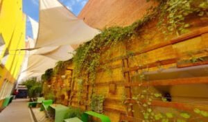 CITY Center for Collaborative Learning