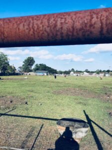 Strehle Community School